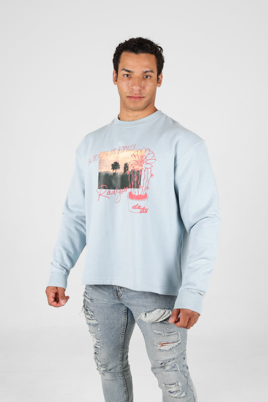 The LA Dream Sweatshirt - RG521